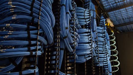 dolly shot revealing a large network of blue cables intertwined in a server room