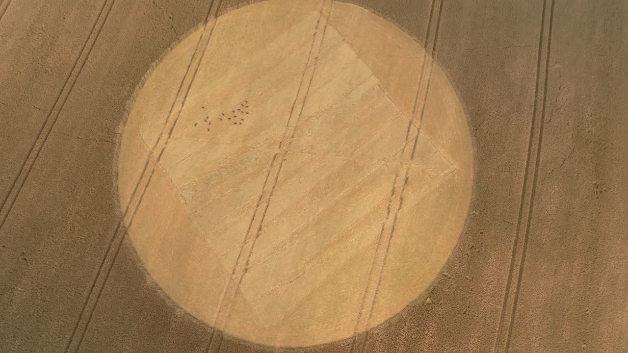 aerial view rising over golden harvested crop circle disc remains on Tufton Hampshire farmland