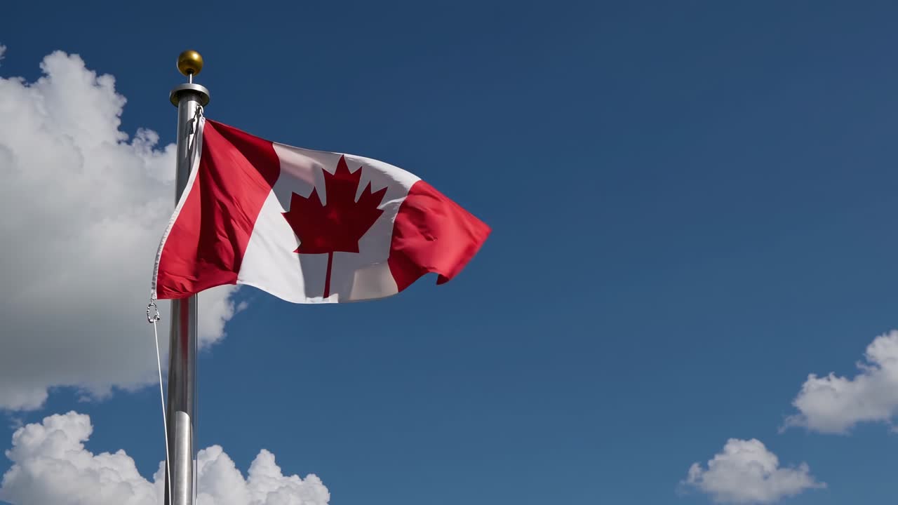 Una ripresa video dal basso della bandiera canadese che sventola contro un cielo azzurro brillante con nuvole soffici.