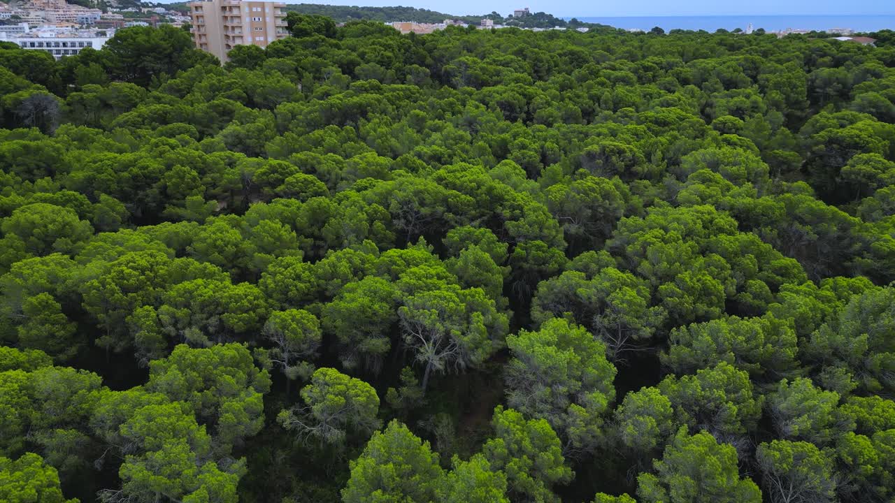 Dynamic aerial shot tilt-up capturing the moody Cala Agulla coast. The footage showcases the rough sea and waves hitting the beach and coves