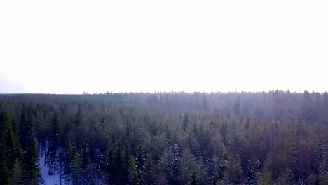 Aerial-shot-of-crisp-winter-air-in-a-freezing-cold-Finnish-forest-with-sunbeams-on-frosty-twigs,-copy-space