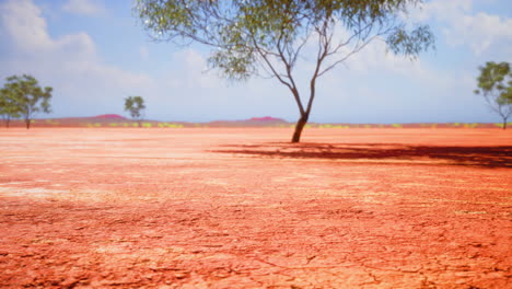 Arena-Rota-En-Verano-Con-El-Sol