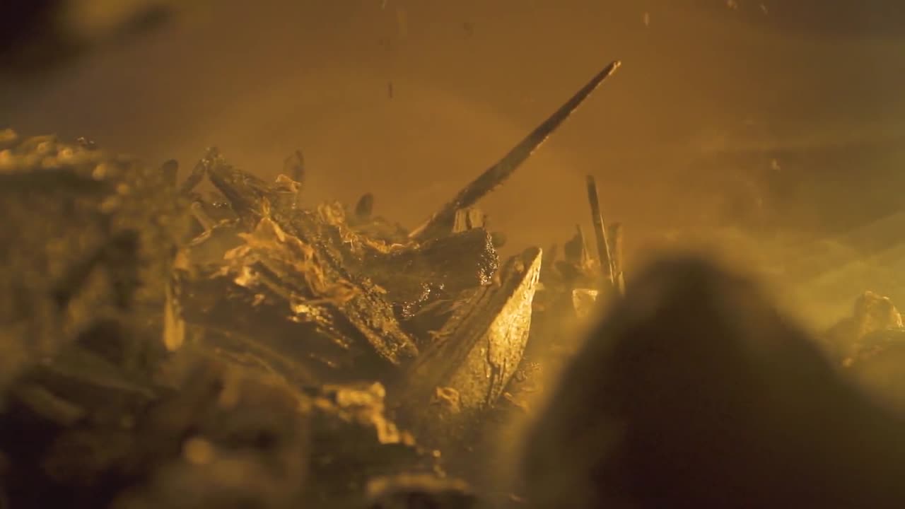 화석 연료 사용의 환경적 결과를 상징하는 석탄 재료를 태우는 것에서 나오는 석탄 연기의 분산에 대한 문서화