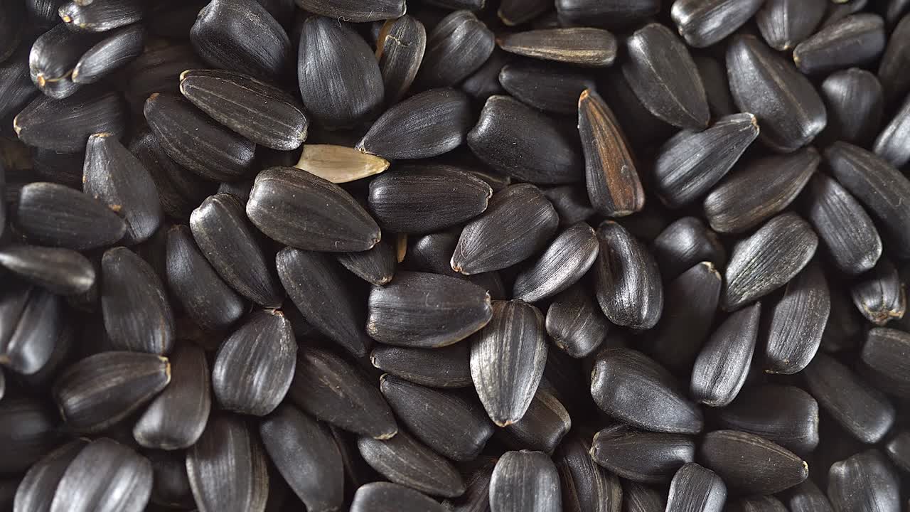 태양꽃 씨을 가까이에서 보십시오.