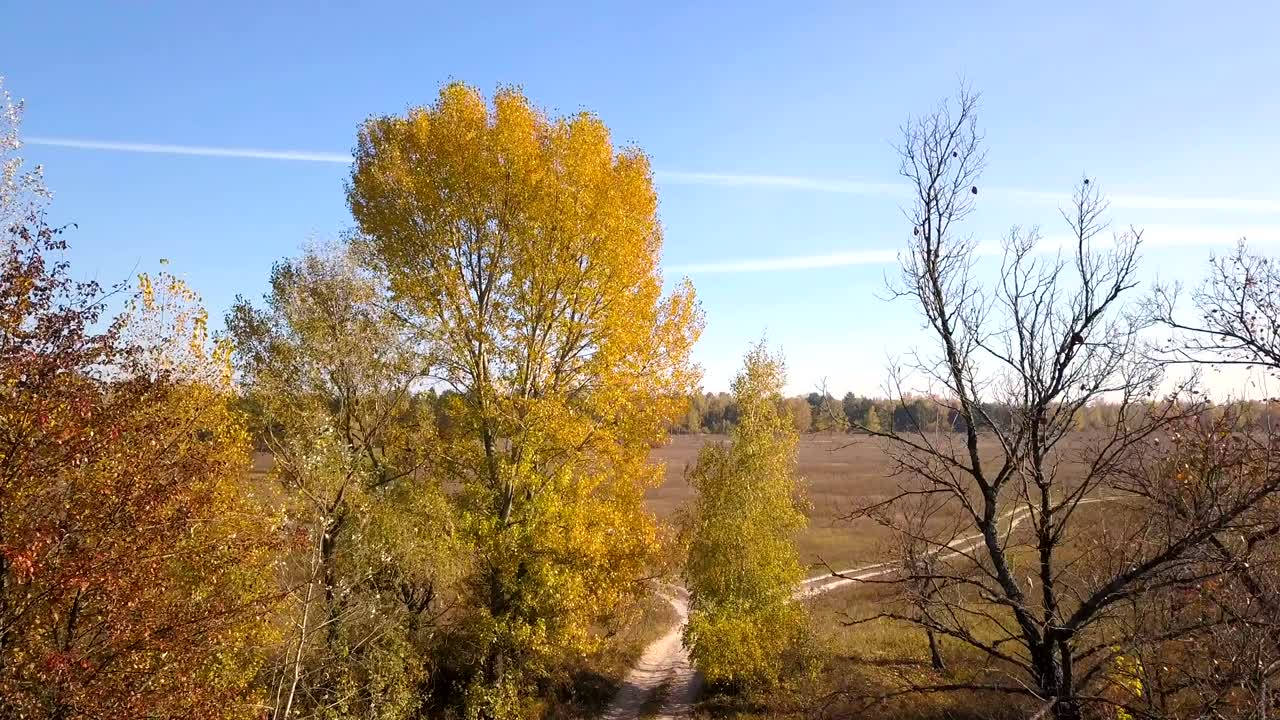 에서 노란색 나무와 함께 시골 풍경 위에 4k 공중