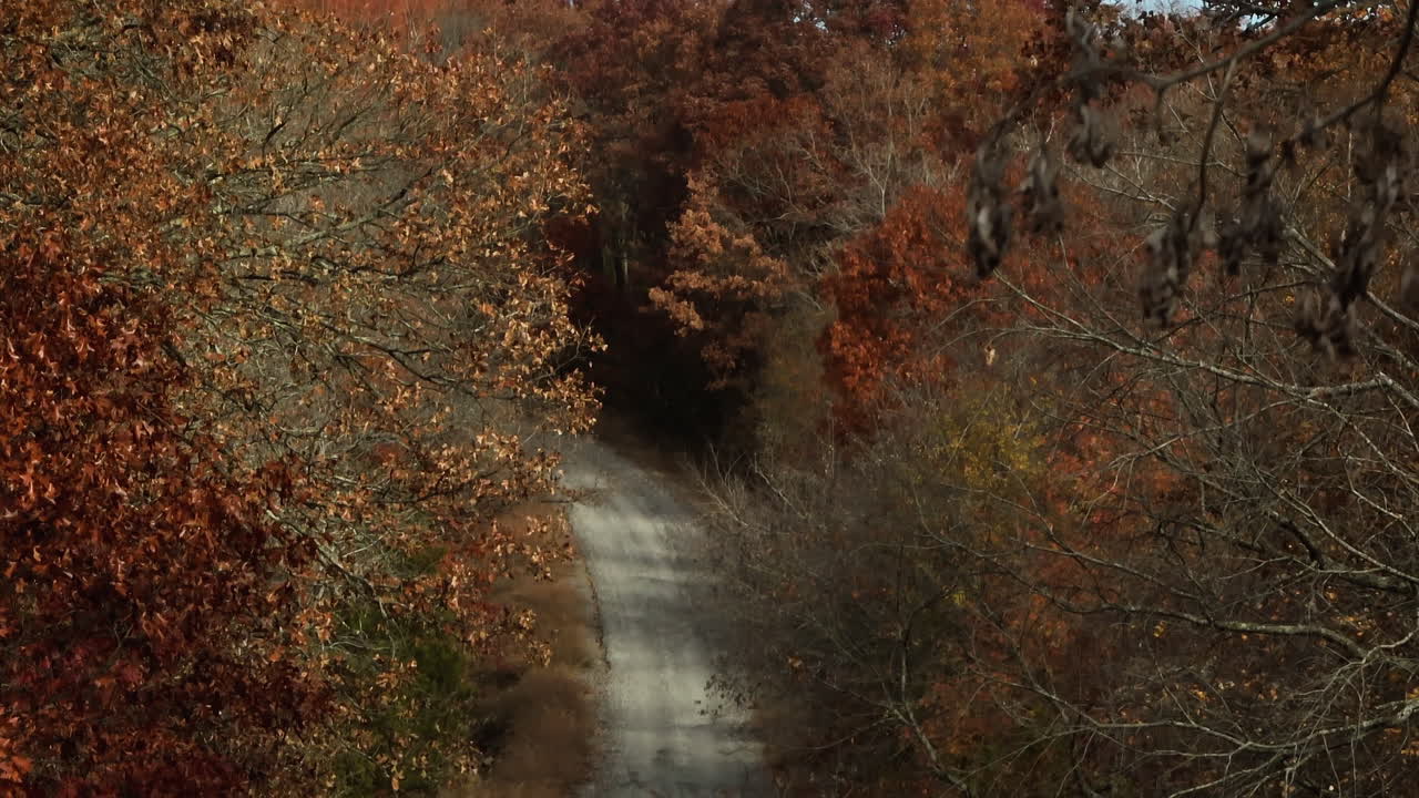 carretera rural entre el bosque exuberante durante el otoño en ar, ee.uu. - disparo de avión no tripulado
