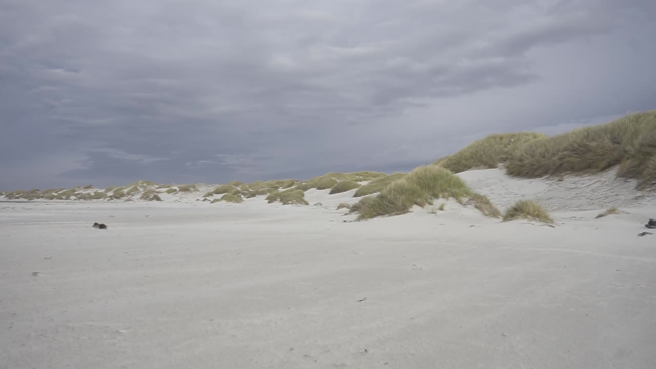 Windswept sand dunes meet a wide sandy beach under a cloudy sky, with a piece of driftwood lying on the sand