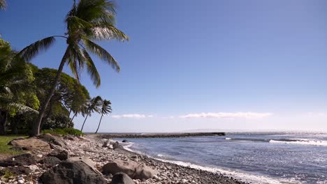 maui hawaii ocean coast palm trees slider