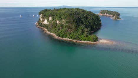 la isla boscosa de hauturu en la costa de waikato, nueva zelanda