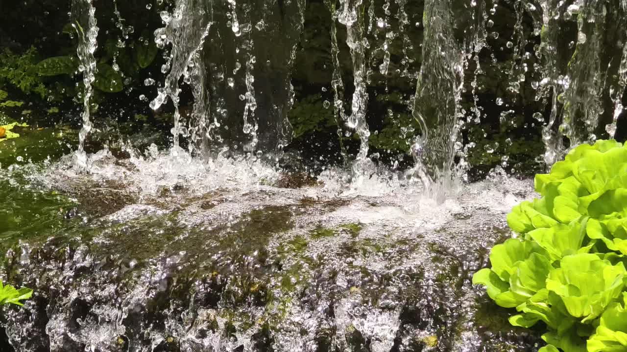 Waterfall and Stream in a Garden