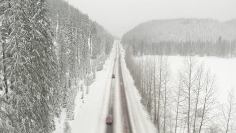 Luftaufnahme-über-Einer-Geraden-Straße-Durch-Verschneiten-Kiefernwald