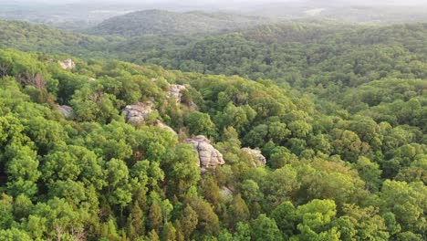 majestic dense forest landscape in aerial orbit drone view