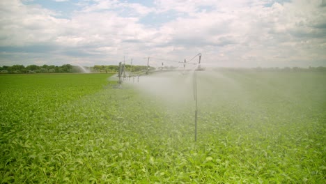 Farming-Irrigation-Sprinklers-System-On-Cultivated-Land-In-Marchfeld,-Austria---Drone-Shot