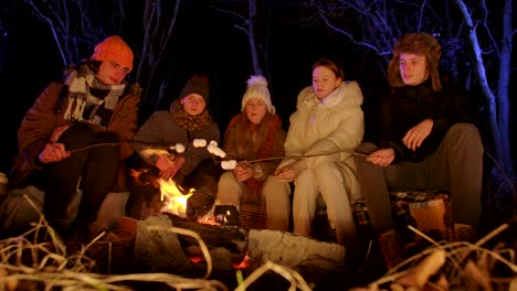 friends roasting marshmallows around a campfire at night