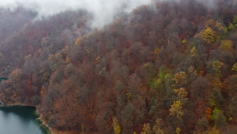 Dramatic-fall-colour-on-mountain-lake-forest-slope,-rain-cloud-aerial