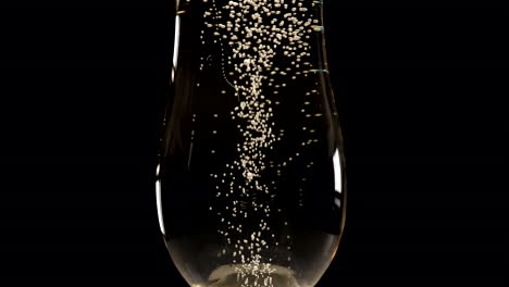 champagne bubbles in a flute