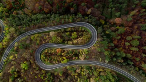 colourful winding road with many bends surrounded by a deciduous forest with pine trees