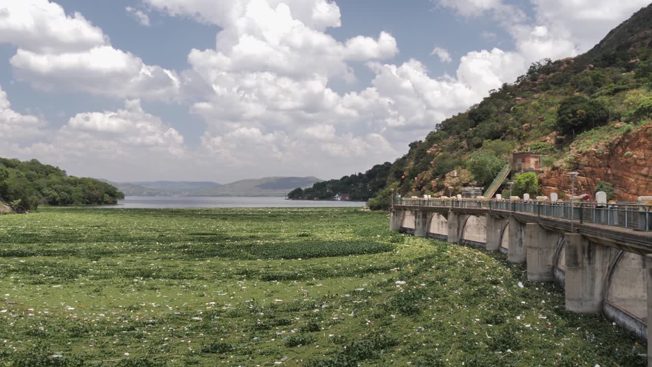 malezas acuáticas y basura en la superficie del lago en la represa de energía hartbeespoort