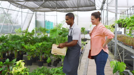 selecting plants in greenhouse, gardening diverse enthusiasts surrounded by lush greenery