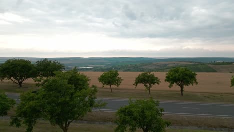 Imágenes-De-Drones-De-Lado-En-Línea-Con-La-Carretera-Que-Cruza-Dos-Campos-De-Trigo,-Vista-Detrás-De-La-Carretera,-El-Horizonte-Está-Muy-Lejos-Con-Campos-Verdes