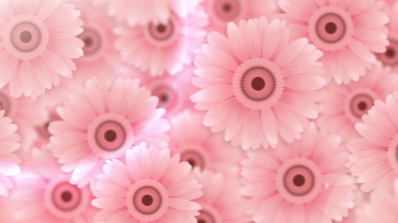 pared de gerbera [bucle]