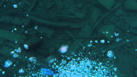 bubbles float up as a diver investigates an underwater shipwreck