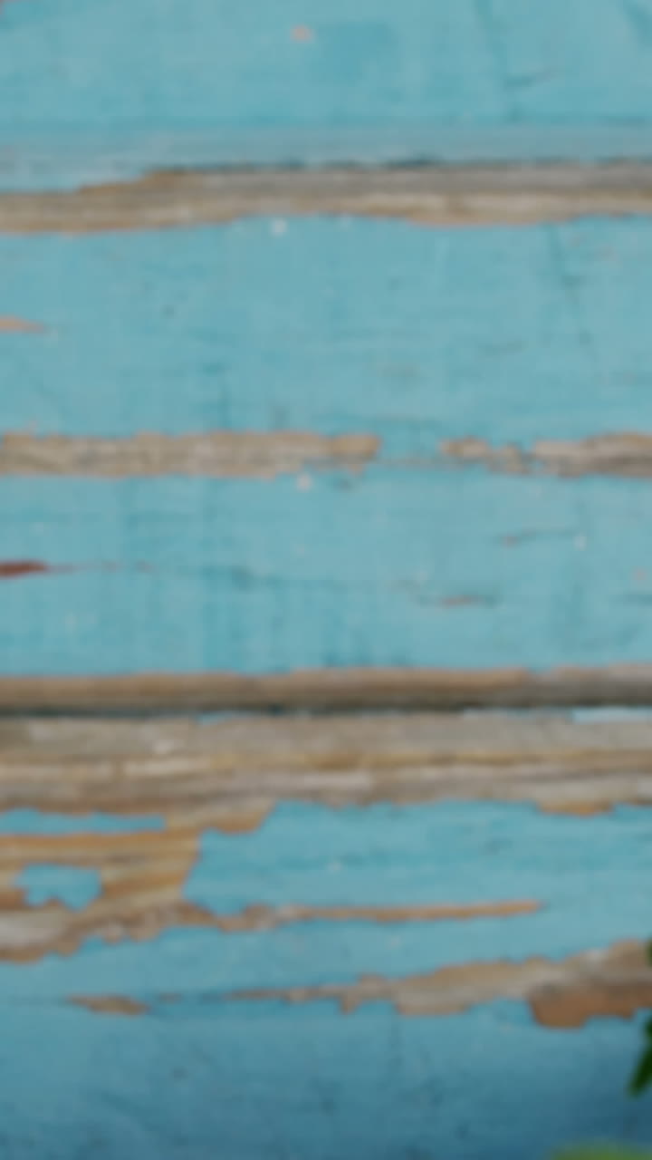 primer plano de las flores amarillas