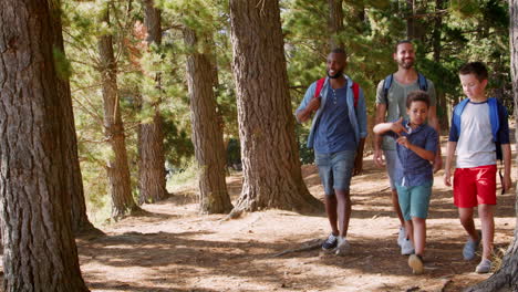 fathers with sons on hiking adventure through woods