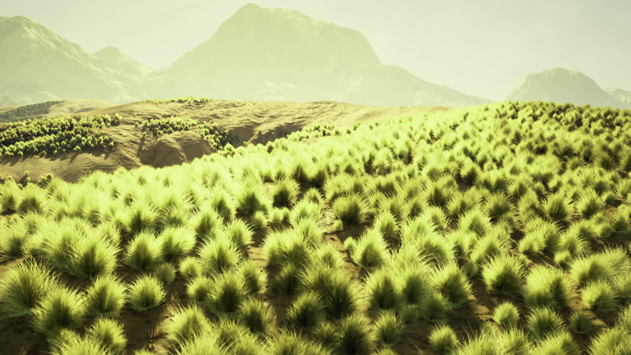 Lush green grass fills the landscape stretching across rolling hills