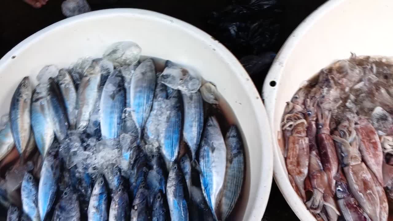 arreglo de pescado en tambor en el mercado de pescado de pelabuhan ratu