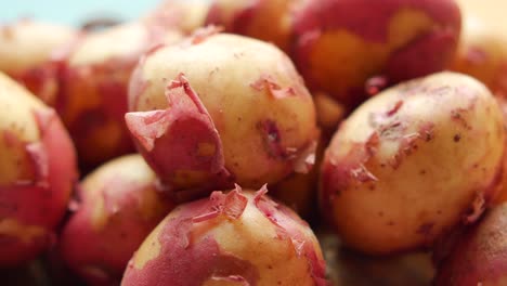 close up of slice of raw potato in a bowl ,