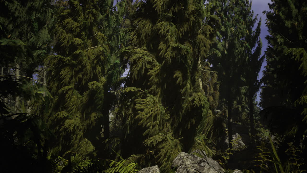 Lush green forest with towering conifer trees under bright blue sky