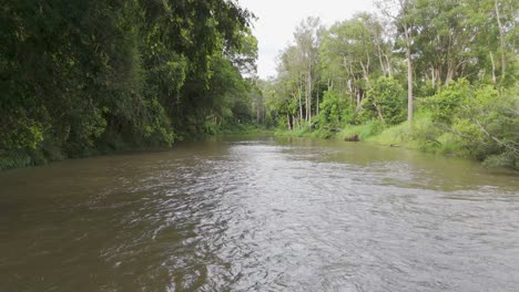 el avión no tripulado captura el río sereno y la vegetación exuberante