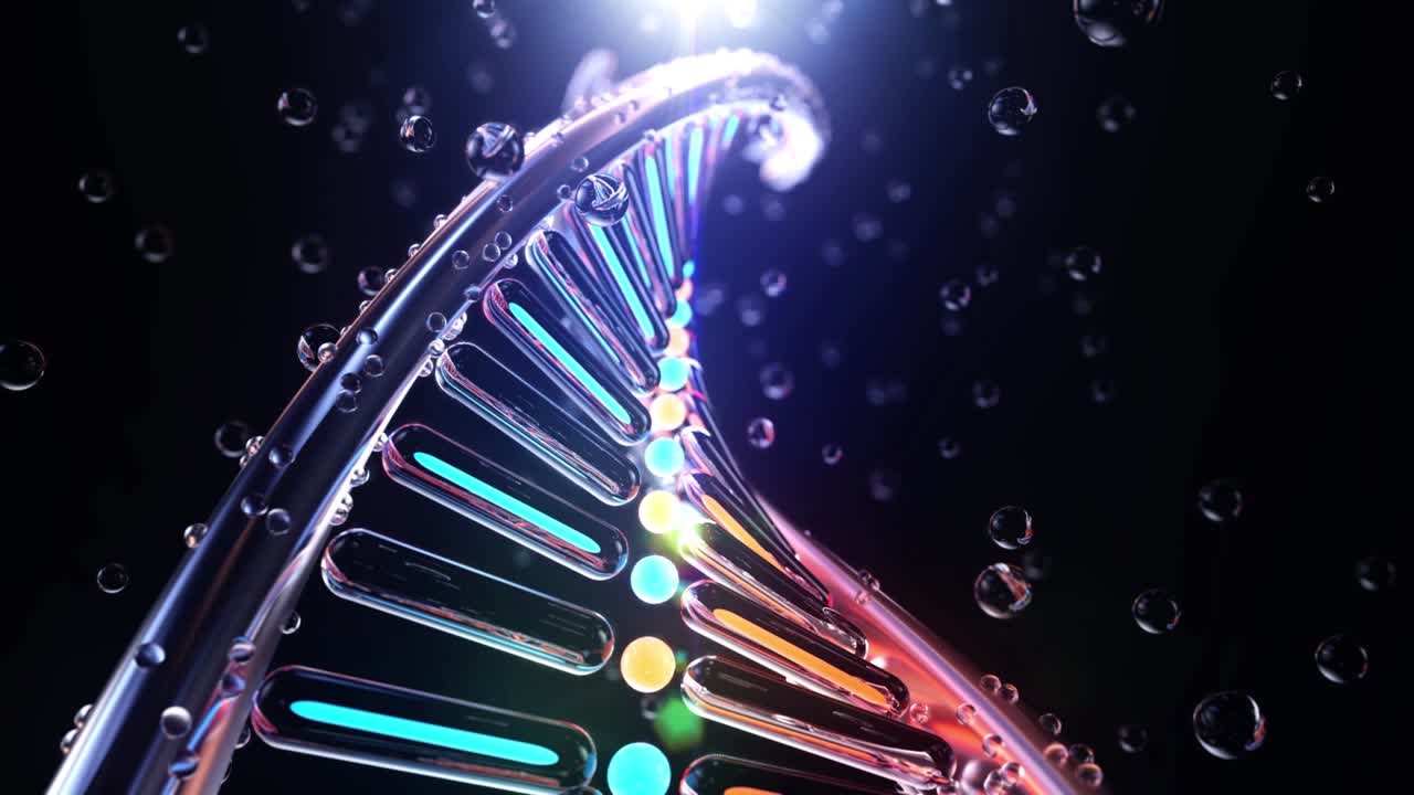 dna 줄무 무결 루프