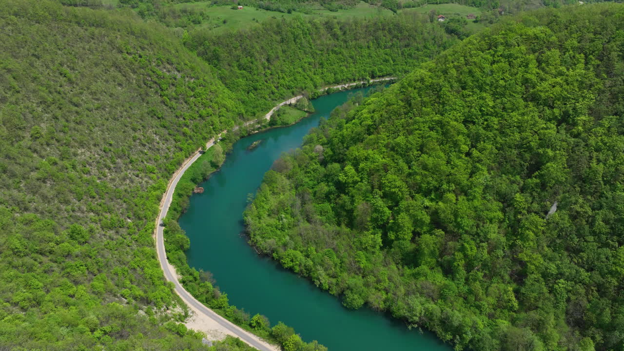 Veduta aerea di un fiume verde che si snoda attraverso una fitta foresta, mettendo in risalto i colori vivaci della prima primavera