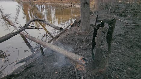 fallen burnt tree smouldering beside lake in aftermath of kirkland lake klk005 forest fire