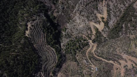 Sloping-Forest-Road-And-Farmland