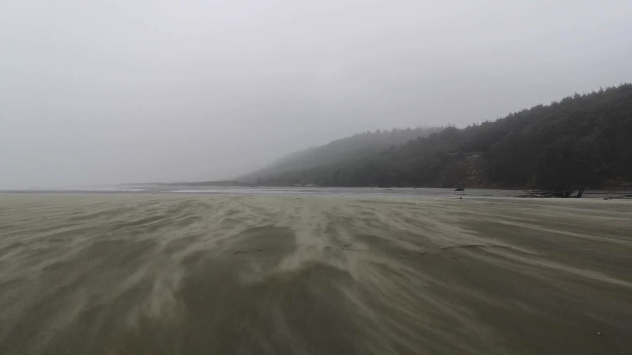 Kraftig stormvind blæser over stranden - slowmotion