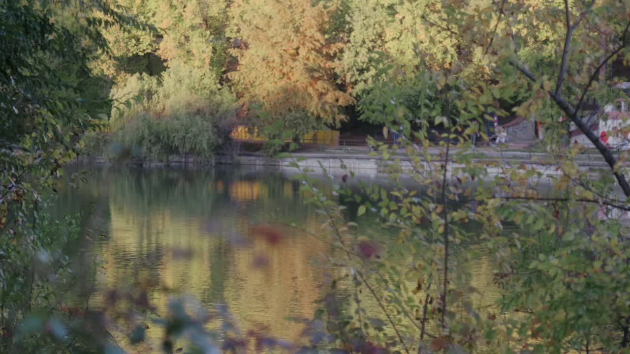 Serene environment highlighting wind, a calm lake, and park greenery during autumn