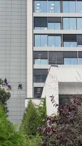 building cleaning crew on high rise