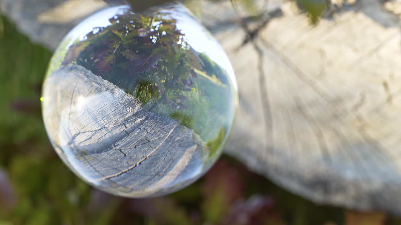 будущее природы.