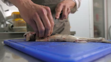 man fillets raw trout fish with sharp knife on blue board, static closeup