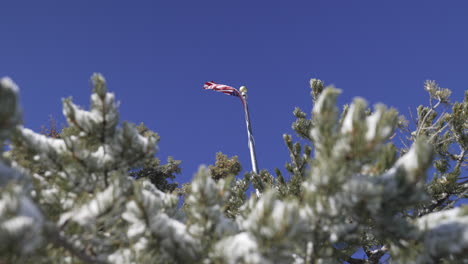 american national flag waving proudly above the snow covered pine trees high in the sky - america, united states, patriotism, freedom, pride, democracy, soldiers, military, sacrifice, honor