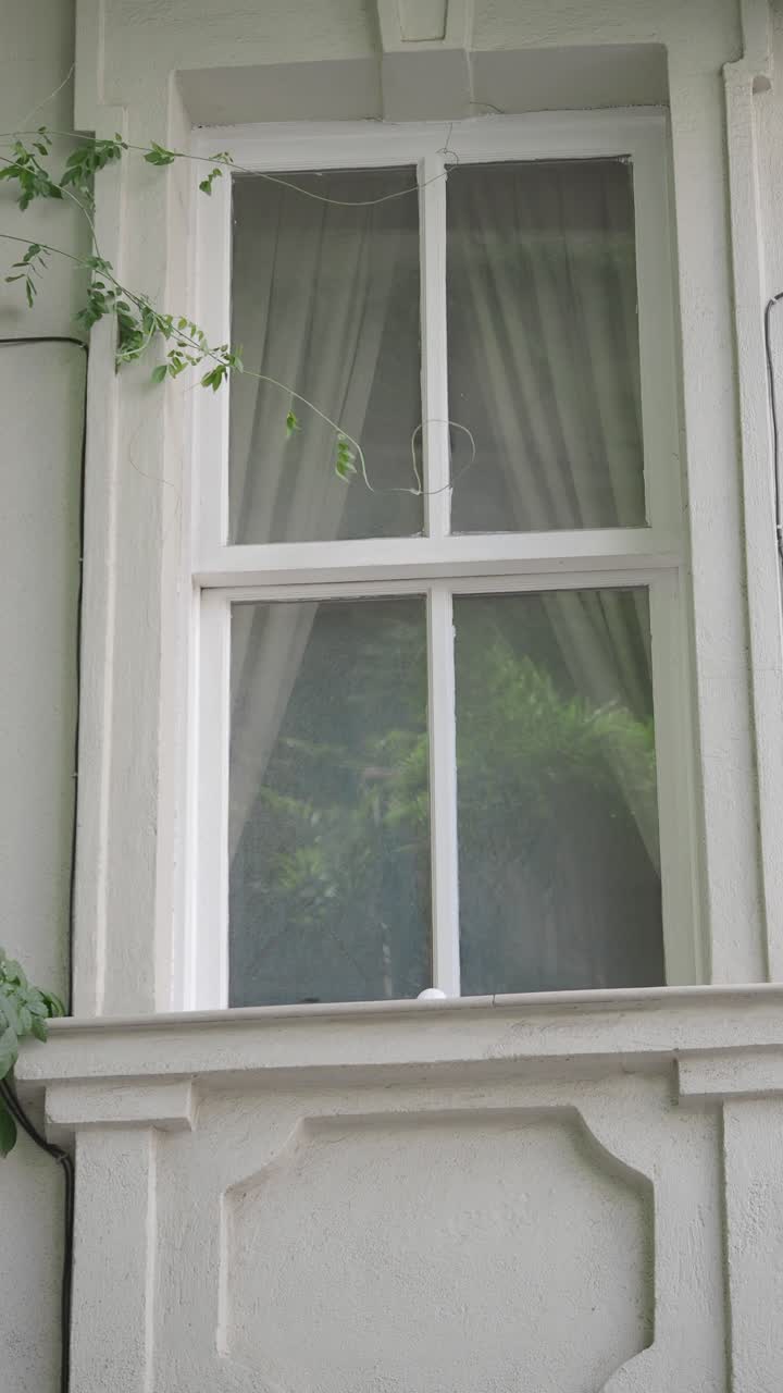Ventana blanca con cortinas y enredadera verde en el exterior del edificio.