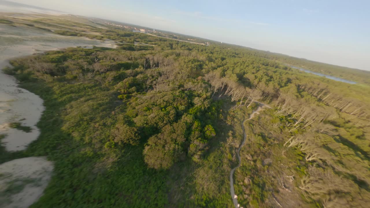 drone volando sobre el bosque y las dunas de arena hacia el océano, soustons en landes, nouvelle-aquitaine en francia