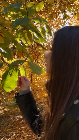 woman touching leaves in autumn park