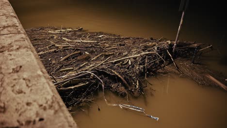 pile of debris floating in muddy floodwaters along a riverside during the budapest flood 2024 on the danube river