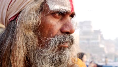 portrait of a holy indian sadhu