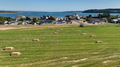 aerial shot of wheat harvest near oak harbor's waterfront estates