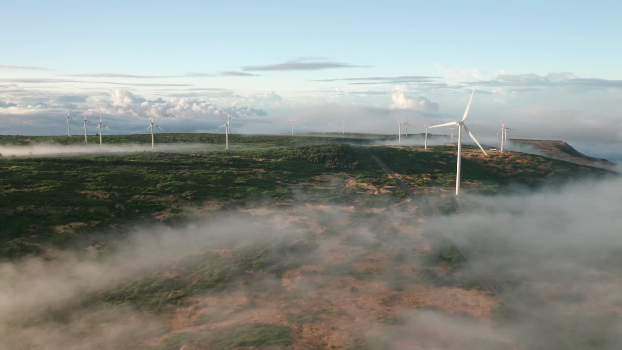 마데이라의 자연 고원 꼭대기에 있는 대체 에너지 풍차 공원